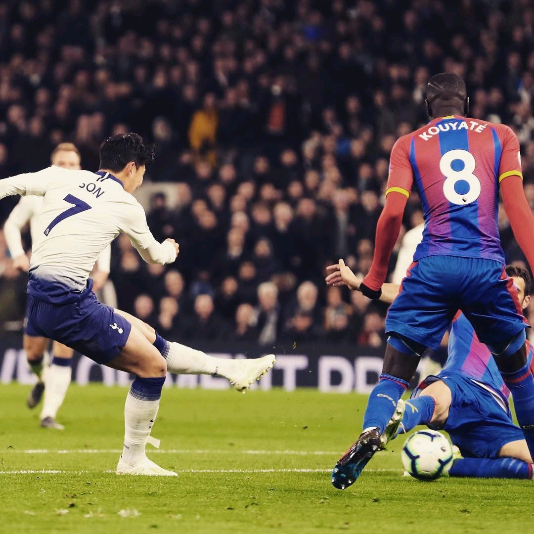 持着高昂的 持着高昂的